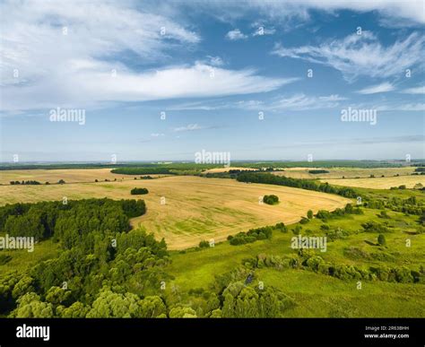 Plantations Of Wheat Fields Illuminated By Sunlight Stock Photo Alamy