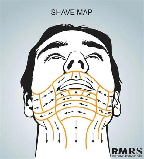 Shave Maps Infographic How To Shave Correctly Which Direction Do