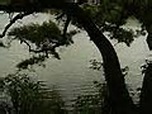金龍湖 (汐止區) - 維基百科，自由的百科全書