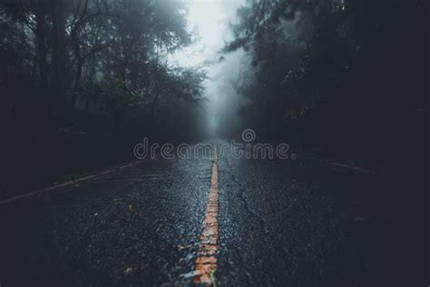 The Road Into The Forest In The Rainy Season Stock Image Image Of