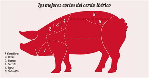 Los Mejores Cortes Del Cerdo Ibérico Una Excelencia En Tu Cocina