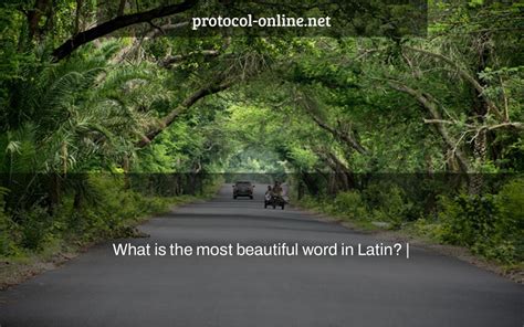 What Is The Most Beautiful Word In Latin Protocol Online