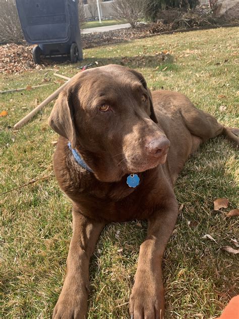 Farewell Dear Friend — Inspirit Community