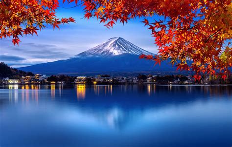 Wallpaper Autumn Leaves Trees Park Japan Japan Mount Fuji Nature