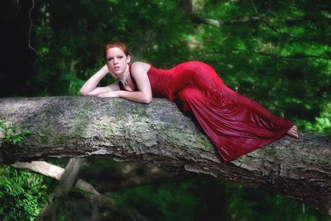 Free Photo Girl Laying Tree Female Young Free Image