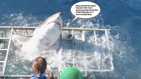 so this video of a great white breaking into a shark cage is as terrifying as everyone says