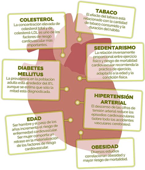 C Mo Minimizar El Riesgo Cardiovascular Farmaceuticonline