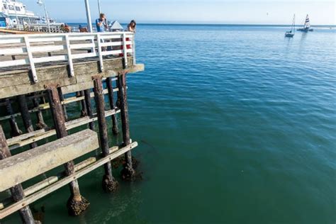 Rediscover The Santa Cruz Wharf Visit Santa Cruz County