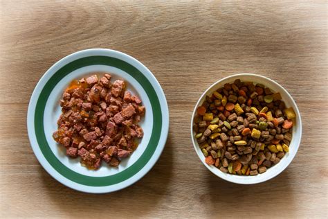 Even dogs that are picky about their food seem to like options from this brand, which is widely available for sale online and in stores. Dry Food vs. Wet Food: Which Is Better For My Pet? - Vets ...