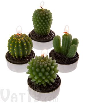 If you click one of these links and make a purchase, we will be paid a commission at no additional cost to you. Cactus Tea Light Candles: Set of 16 mini cactus candles