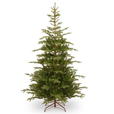 National Tree Company 75 Ft Norwegian Spruce Tree The Home Depot Canada