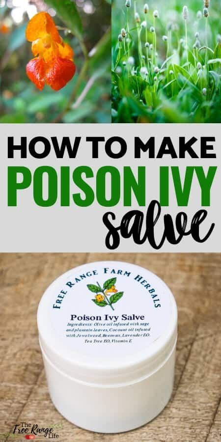 How To Make Jewelweed Salve For Poison Ivy Bug Bites Or Rashes In