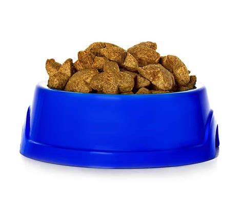 Both canned and dry dog foods can be excellent sources of balanced nutrition. Canned Food vs. Dry Food For Your Dog | RottweilerHQ.com