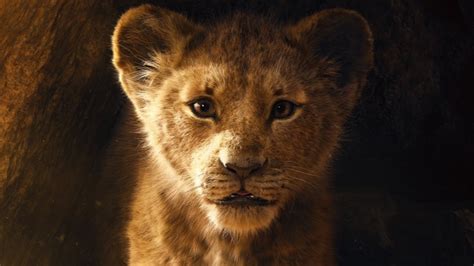 Lion King Director Rules Out Using Animals In Movies