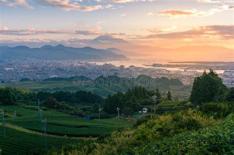 Japanese Countryside Aerial Sunset Landscape With Tea Plantations And