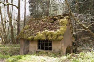Alsace petite maison dans la forêt recouverte de mousse Denis MERCK