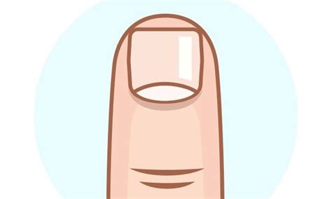 Finger Nail Clip Art 10 Free Cliparts Download Images On Clipground 2024
