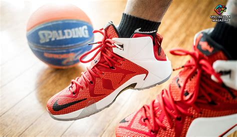 Embracing The Future Latest Trends Shaping The World Of Basketball