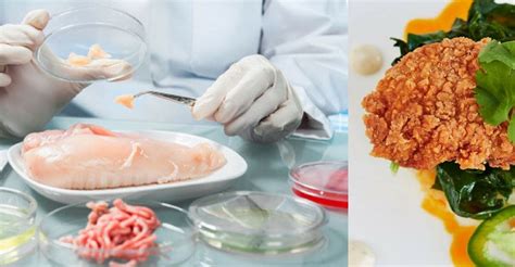 Lab Grown Chicken Is Now A Thing And Youre Probably Not Going To Like It