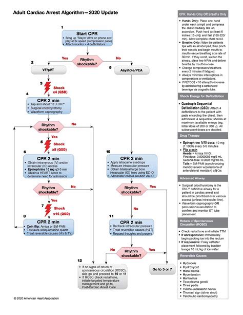 New Acls Guidelines 2020 Update Nursing