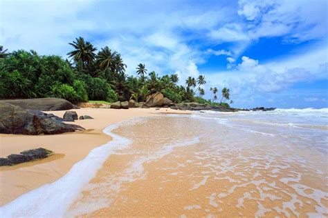 Sri Lanka Best Beaches The 10 Best Beaches In Sri Lanka Lonely Planet