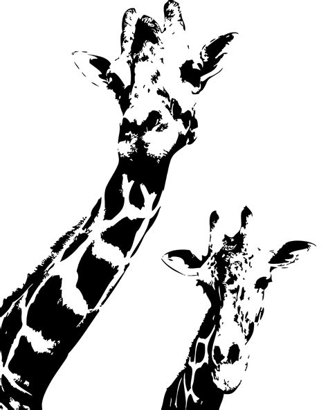Giraffes Art Black And White Print Vector Image Stencil Art Print Safari