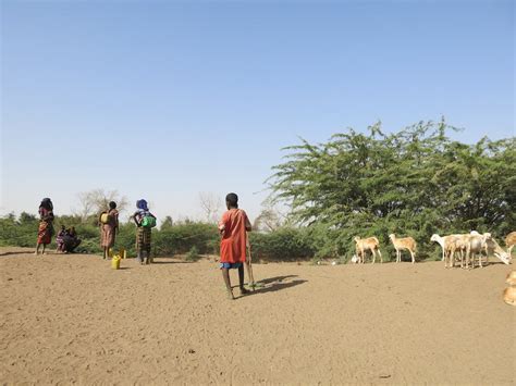 Lessons From Semi Arid Regions On How To Adapt To Climate Change