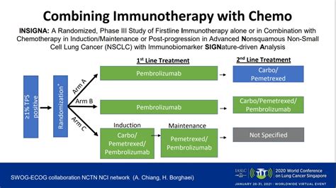 Use Of Predictive Biomarkers Incorporating Chemotherapywhat Is Best