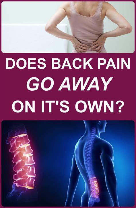 Pin On Back Pain Solutions