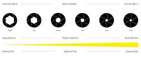 Aperture Shutter Speed And Iso Basics In Concert Photography How To