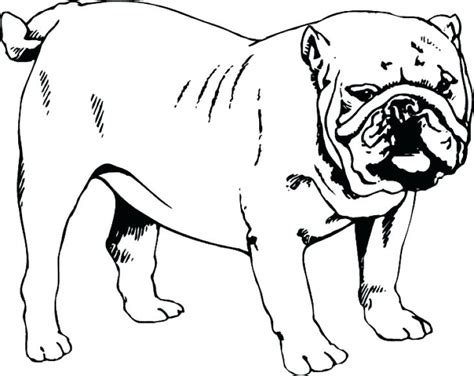 Search through 623,989 free printable. English Bulldog Coloring Pages Printable at GetColorings ...