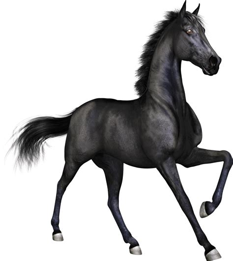 Horses Clipart Mustang Horse Picture 1363698 Horses Clipart Mustang Horse