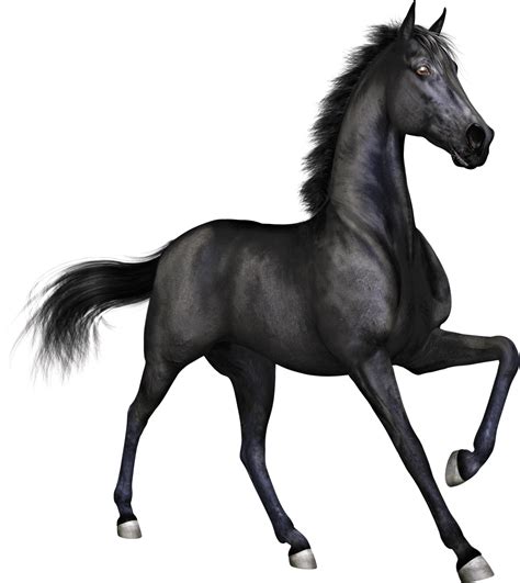 Horse Png Images Race Horse British Horse Horses Free Transparent