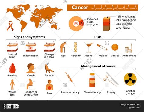 Cancer Infographic Vector And Photo Free Trial Bigstock
