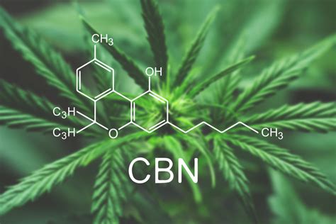Cbn is listed in the world's largest and most authoritative dictionary database of abbreviations and acronyms. Cannabiniol (CBN) - Potential Applications, Side Effects, Dosage & Legality - IHF LLC