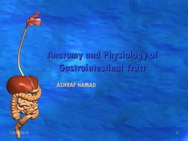 مستشفى الباطنة التخصصي, مستشفى ذات طابع خاص ضمنة المستشفيات التابعة لجامعة المنصورة, وتقوم بتقديم الخدمات العلاجية فى مجالات (أمراض الكبد والجهاز الهضمي. البـاطـنـة والـجراحة والحروق - فالنغيير اسلوبنا