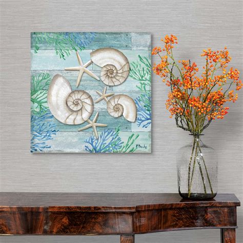 Clearwater Shells Ii Canvas Wall Art Print Seashell Home Decor Ebay