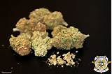 Pictures of Smoking Marijuana Seeds
