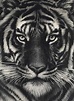 ROBERT LONGO (B. 1953) , Untitled (Last Tiger) | Christie's