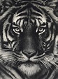 ROBERT LONGO (B. 1953) , Untitled (Last Tiger) | Christie's