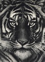 ROBERT LONGO (B. 1953) , Untitled (Last Tiger) | Christie's