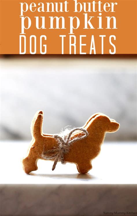 Homemade Pumpkin Peanut Butter Dog Treats Recipe