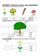 Plants Part 1: Flowers, trees and vegetables - ESL worksheet by Sophie18