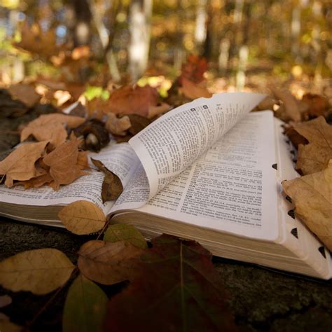 20 Fall Bible Verses And Scripture For Autumn