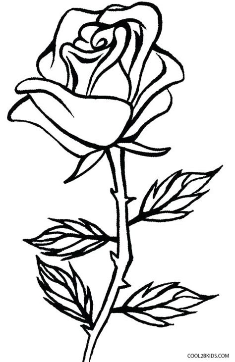 Rose Bush Drawing Free Download On Clipartmag