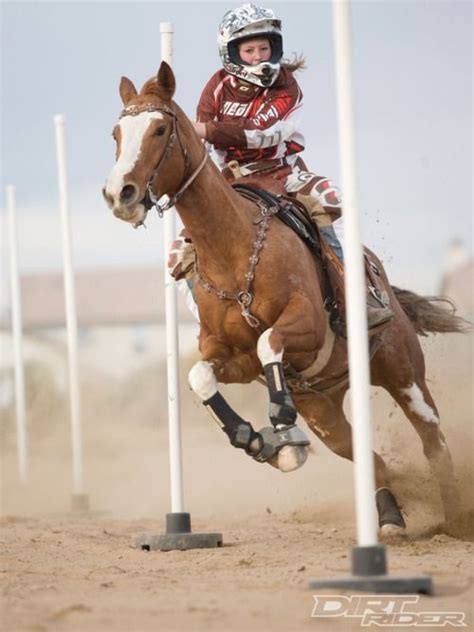 Reining Barrel Racing Rodeo Western Ranch Cowboy Cowgirl Farm Show