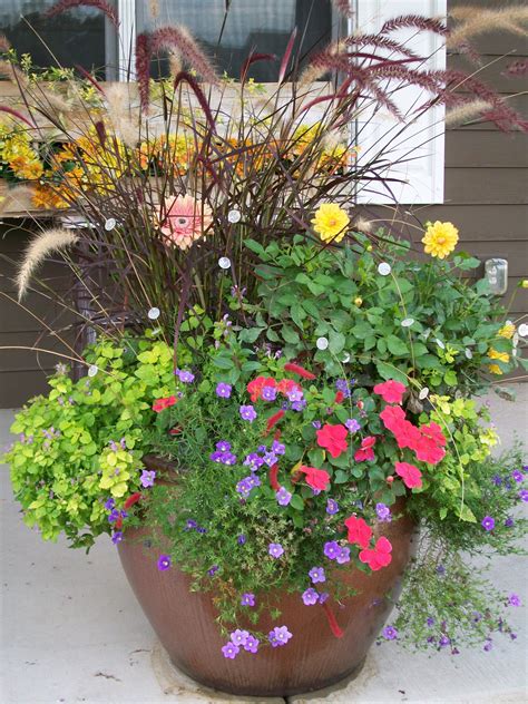 Summer Annual Container For Part Sun Container Gardening Container