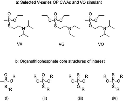 A Structure Of The V Series Chemical Warfare Agents Vx And Vg