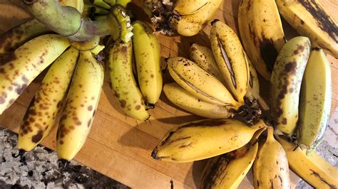 Tropical summer eating list: sweetly terrifying bananas, in 3 Tweets