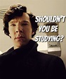 Yes I should be studying, Benedict. Why there isn't a university course ...